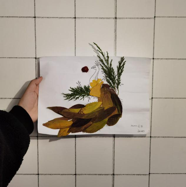 图片6.png 图片6.png