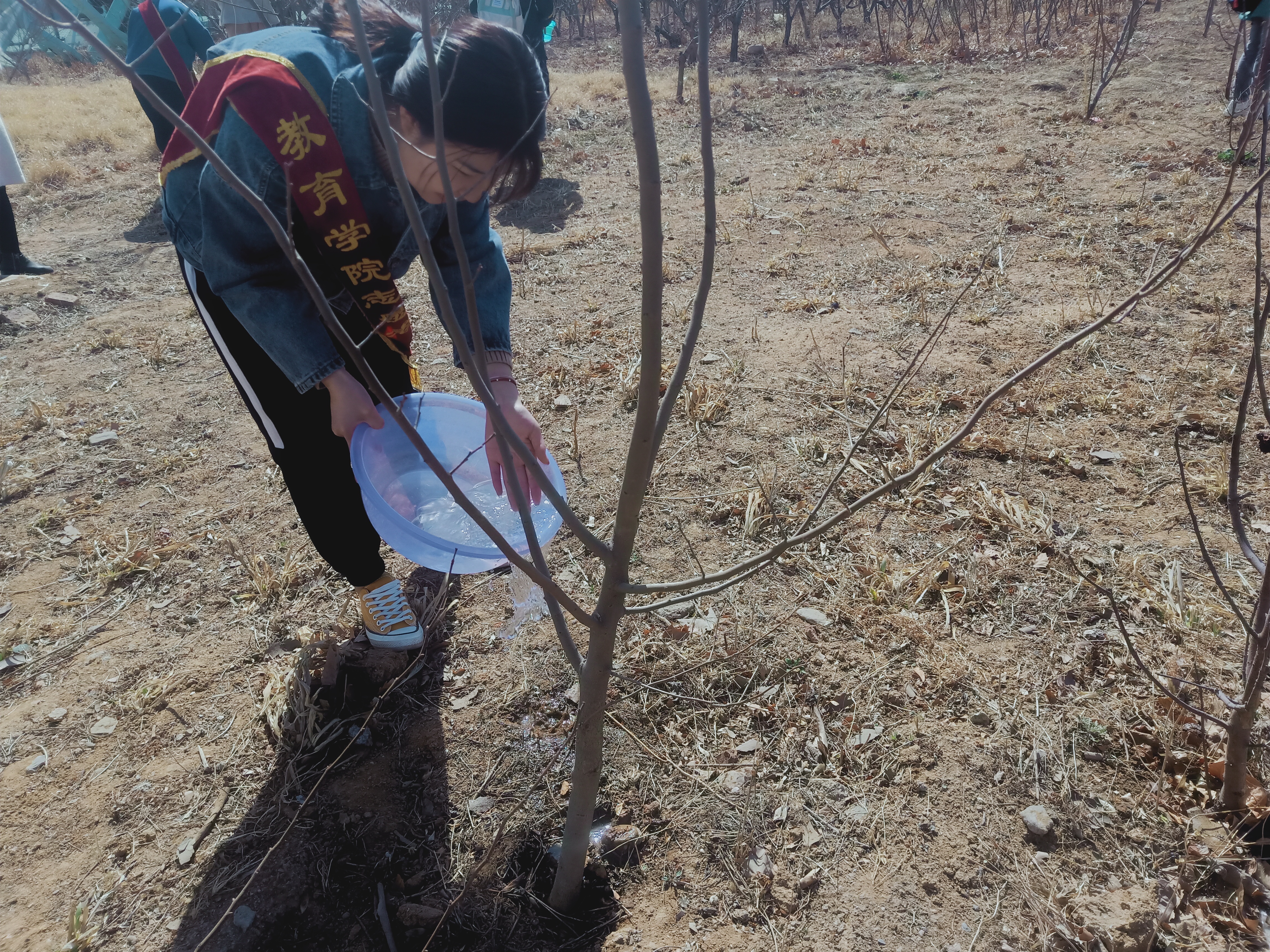 Cache_6961b851835cb1d9..jpg Cache_6961b851835cb1d9..jpg